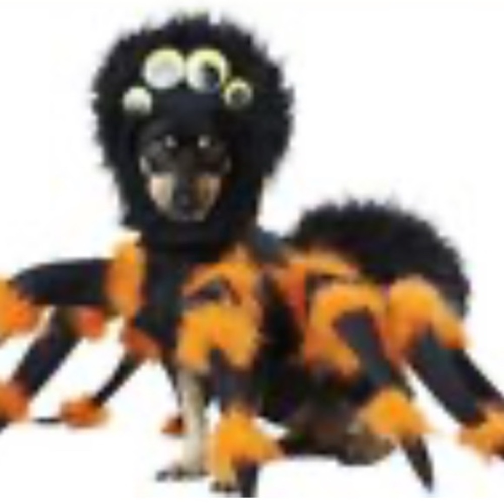 Dog Spider Costume - Black and Orange